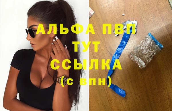 сатива Белоозёрский
