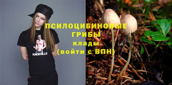 MDMA Premium VHQ Белокуриха